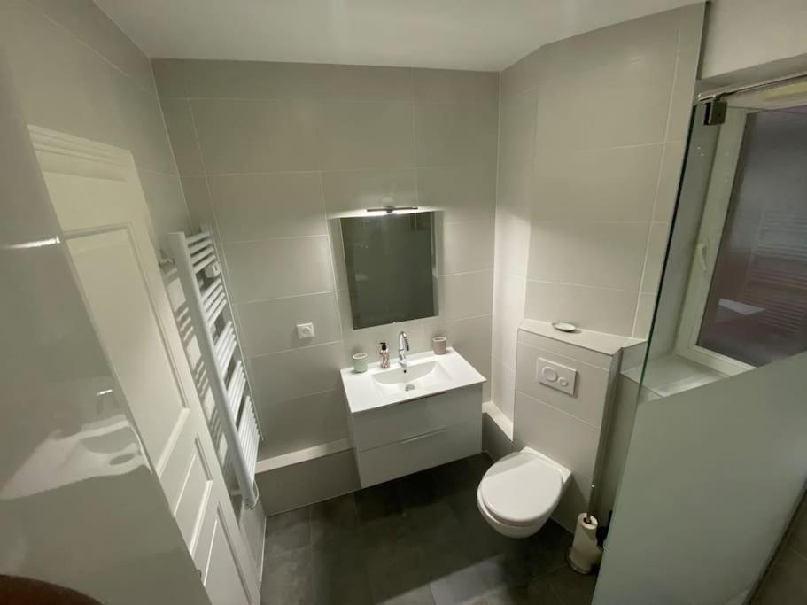 Le Confort D'Un Appartement Schiltigheim Kültér fotó