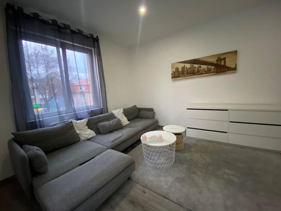 Le Confort D'Un Appartement Schiltigheim Kültér fotó